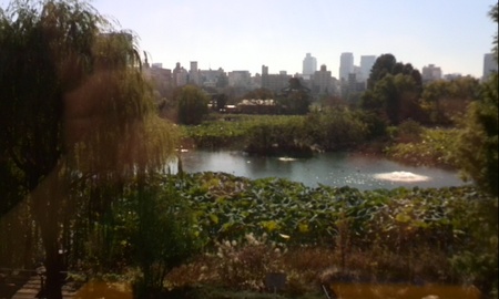 ファイル 1721-1.jpg