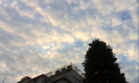 ファイル 1727-1.jpg