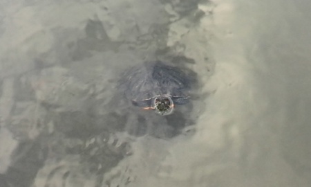 ファイル 1728-3.jpg