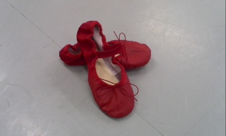 ファイル 1741-1.jpg