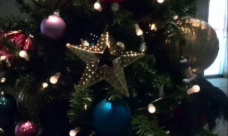 ファイル 1749-3.jpg