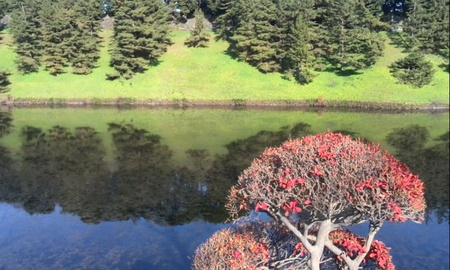 ファイル 1751-1.jpg