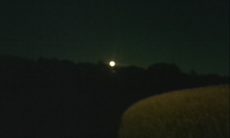 ファイル 1772-1.jpg