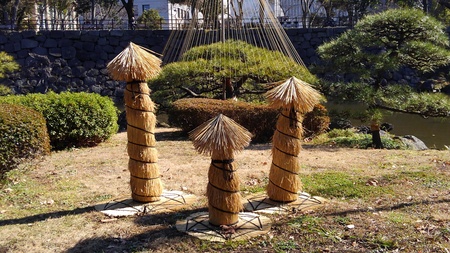 ファイル 1777-1.jpg