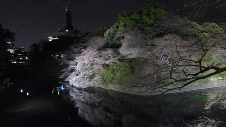 ファイル 1810-1.jpg