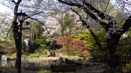 ファイル 1812-1.jpg