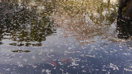 ファイル 1812-2.jpg