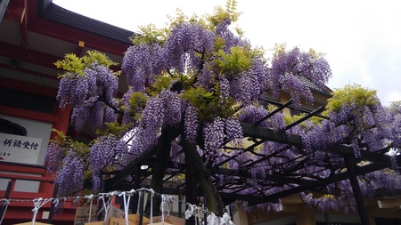 ファイル 1817-1.jpg