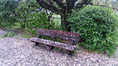 ファイル 1818-1.jpg