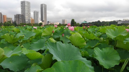 ファイル 1855-2.jpg