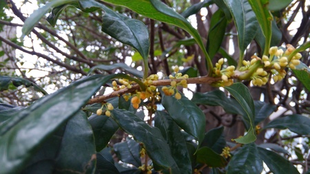 ファイル 1871-1.jpg