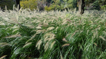 ファイル 1879-2.jpg