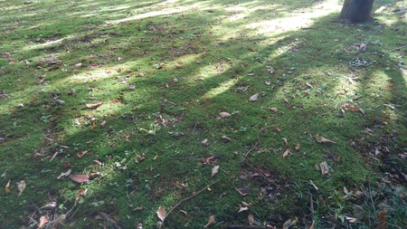 ファイル 1879-3.jpg