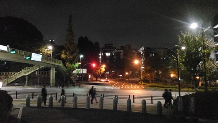 ファイル 1883-1.jpg