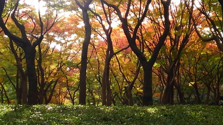 ファイル 1885-1.jpg