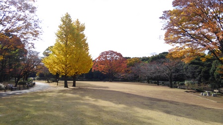 ファイル 1886-1.jpg