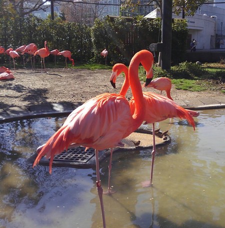 ファイル 1906-1.jpg