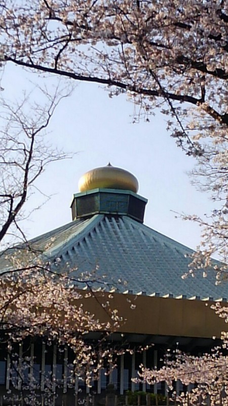 ファイル 1925-1.jpg