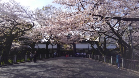 ファイル 1929-1.jpg