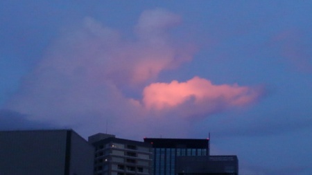 ファイル 1970-1.jpg