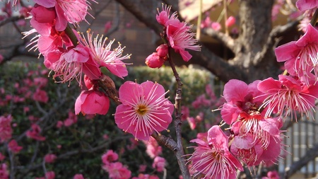 ファイル 2024-1.jpg