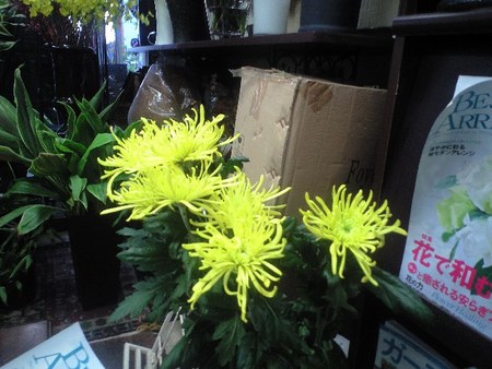 ファイル 867-1.jpg