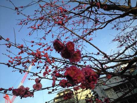 ファイル 939-1.jpg