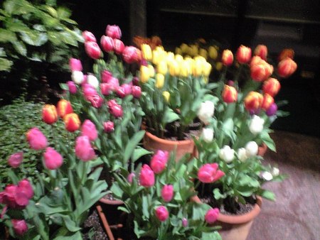 ファイル 948-1.jpg