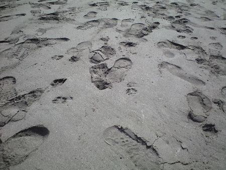 ファイル 957-1.jpg