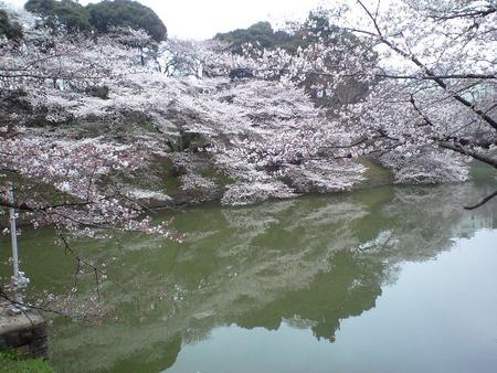 ファイル 960-1.jpg