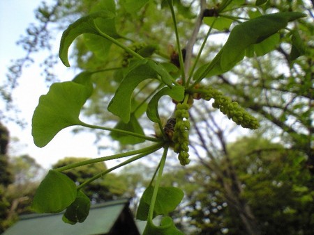 ファイル 968-1.jpg