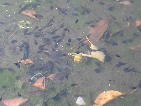 ファイル 969-1.jpg