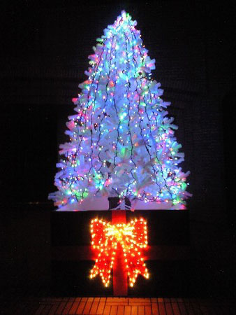 ファイル 893-1.jpg